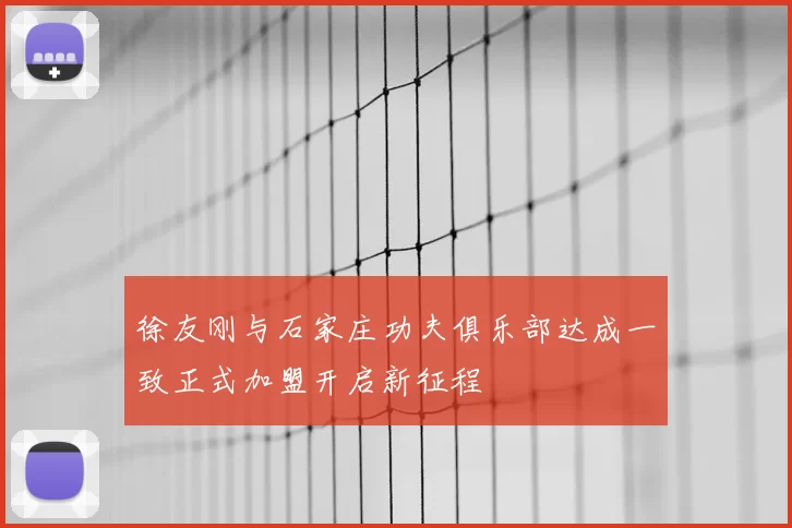 徐友刚与石家庄功夫俱乐部达成一致正式加盟开启新征程