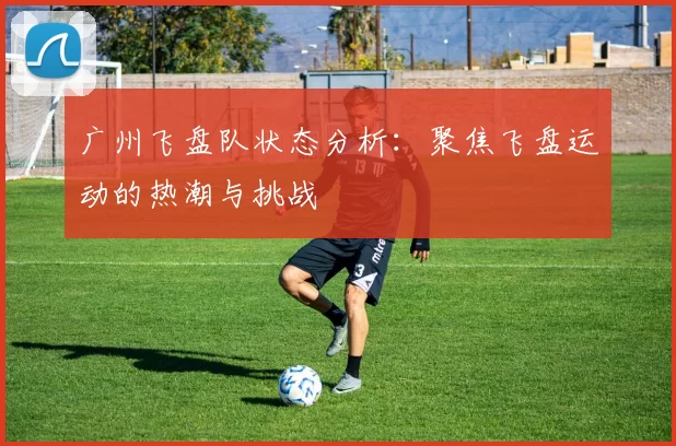 广州飞盘队状态分析:聚焦飞盘运动的热潮与挑战