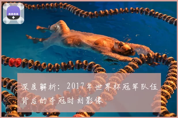 深度解析：2017年世界杯冠军队伍背后的夺冠时刻影像
