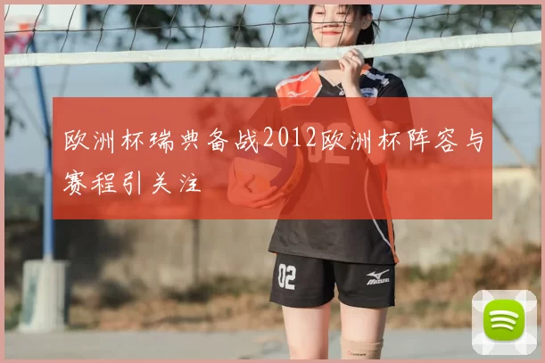 欧洲杯瑞典备战2012欧洲杯阵容与赛程引关注