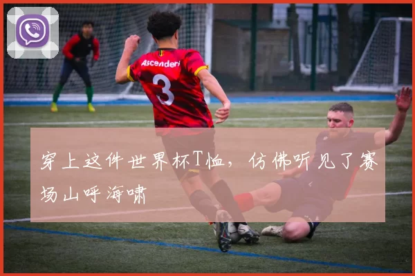 穿上这件世界杯T恤，仿佛听见了赛场山呼海啸