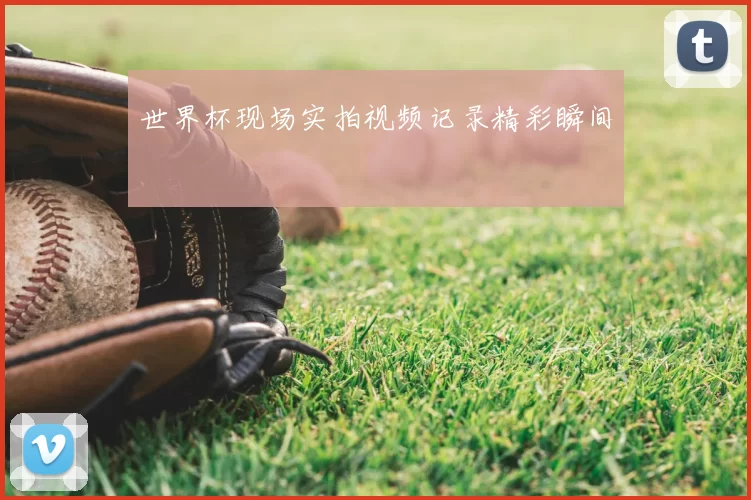 世界杯现场实拍视频记录精彩瞬间