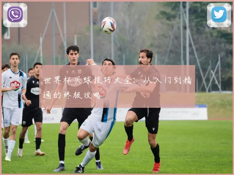 世界杯买球技巧大全:从入门到精通的终极攻略