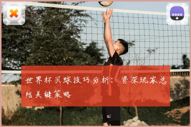 世界杯买球技巧分析：资深玩家总结关键策略