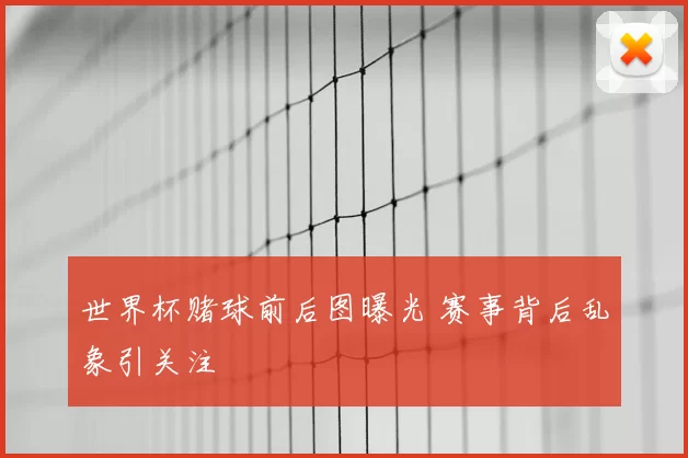 世界杯赌球前后图曝光 赛事背后乱象引关注