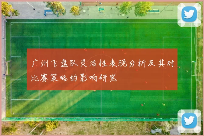 广州飞盘队灵活性表现分析及其对比赛策略的影响研究