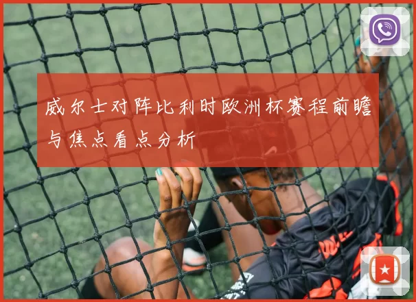 威尔士对阵比利时欧洲杯赛程前瞻与焦点看点分析